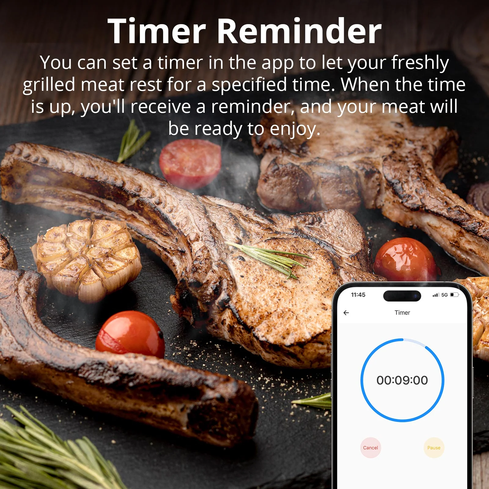SONOFF BBQ Meat Thermometer | BMT01 - Image 9